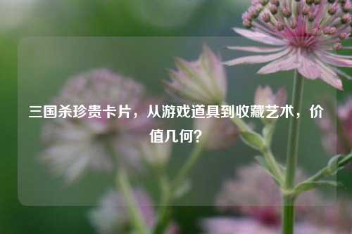 三国杀珍贵卡片，从游戏道具到收藏艺术，价值几何？