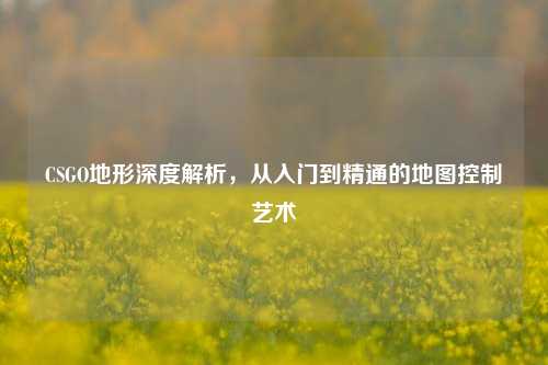 CSGO地形深度解析，从入门到精通的地图控制艺术