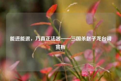 能进能退，乃真正法器——三国杀赵子龙台词赏析