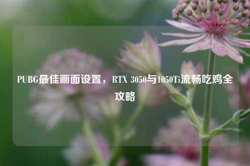 PUBG最佳画面设置，RTX 3050与1050Ti流畅吃鸡全攻略
