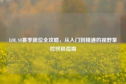 LOL S8赛季眼位全攻略，从入门到精通的视野掌控终极指南