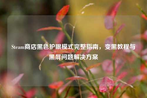 Steam商店黑色护眼模式完整指南，变黑教程与黑屏问题解决方案
