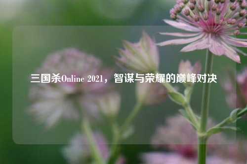 三国杀Online 2021，智谋与荣耀的巅峰对决