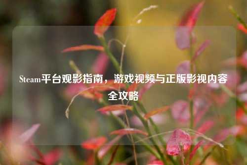 Steam平台观影指南，游戏视频与正版影视内容全攻略