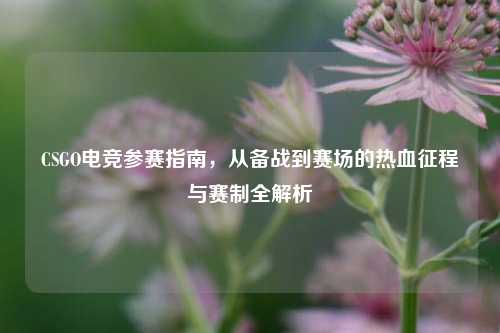 CSGO电竞参赛指南，从备战到赛场的热血征程与赛制全解析