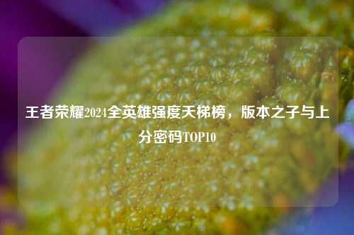 王者荣耀2024全英雄强度天梯榜，版本之子与上分密码TOP10