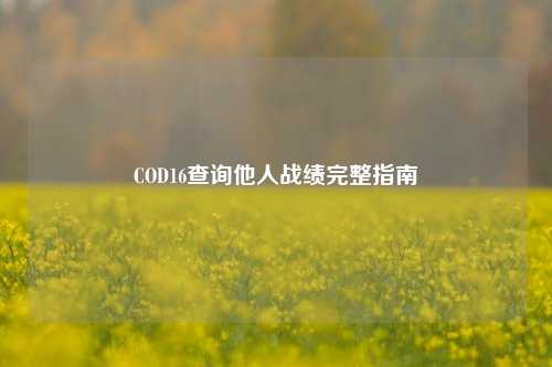 COD16查询他人战绩完整指南