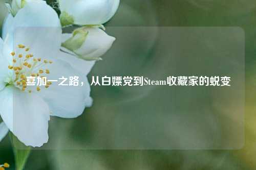 喜加一之路，从白嫖党到Steam收藏家的蜕变