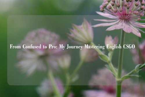 From Confused to Pro: My Journey Mastering English CSGO