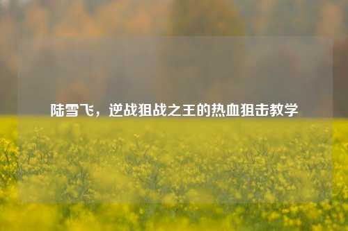 陆雪飞，逆战狙战之王的热血狙击教学