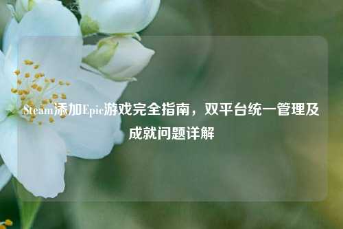 Steam添加Epic游戏完全指南，双平台统一管理及成就问题详解