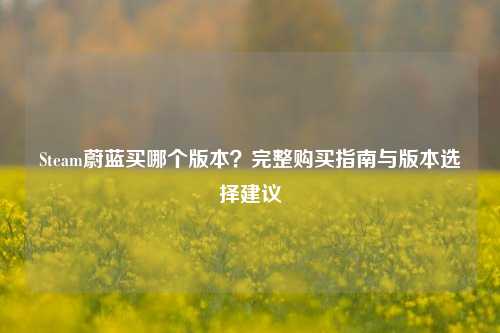 Steam蔚蓝买哪个版本？完整购买指南与版本选择建议