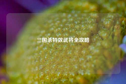 三国杀特效武将全攻略