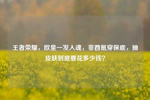 王者荣耀，欧皇一发入魂，非酋氪穿保底，抽皮肤到底要花多少钱？