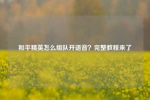 和平精英怎么组队开语音？完整教程来了