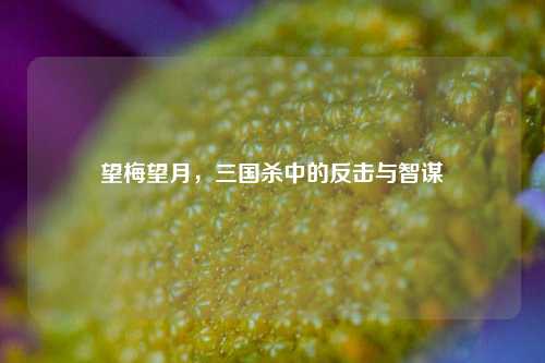 望梅望月，三国杀中的反击与智谋