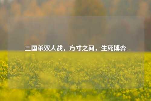 三国杀双人战，方寸之间，生死博弈