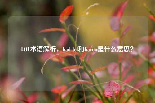 LOL术语解析，bad lol和baron是什么意思？