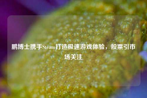 鹏博士携手Steam打造极速游戏体验，股票引市场关注
