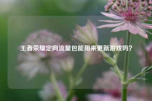 王者荣耀定向流量包能用来更新游戏吗？