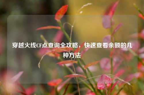 穿越火线CF点查询全攻略，快速查看余额的几种方法