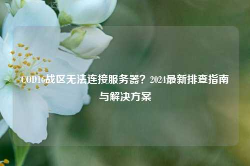 COD16战区无法连接服务器？2024最新排查指南与解决方案