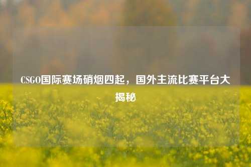 CSGO国际赛场硝烟四起，国外主流比赛平台大揭秘