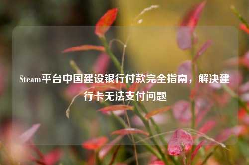 Steam平台中国建设银行付款完全指南，解决建行卡无法支付问题