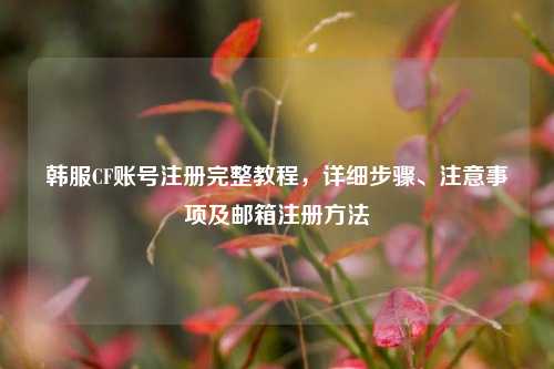 韩服CF账号注册完整教程，详细步骤、注意事项及邮箱注册方法
