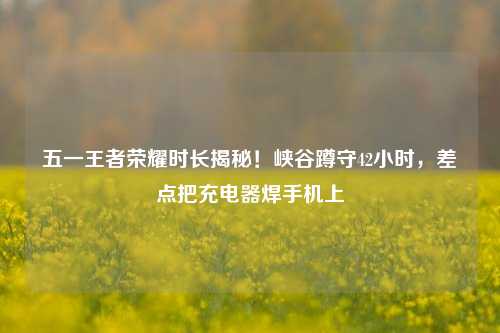 五一王者荣耀时长揭秘！峡谷蹲守42小时，差点把充电器焊手机上