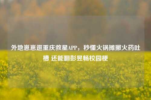 外地崽崽逛重庆救星APP，秒懂火锅摊撇火药吐槽 还能翻彭昱畅校园梗