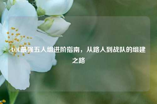 LOL最强五人组进阶指南，从路人到战队的组建之路