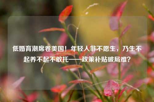 低婚育潮席卷美国！年轻人非不愿生，乃生不起养不起不敢托——政策补贴破局难？
