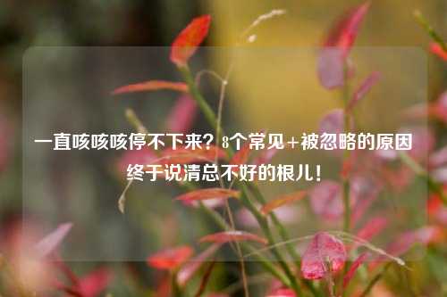 一直咳咳咳停不下来？8个常见+被忽略的原因终于说清总不好的根儿！