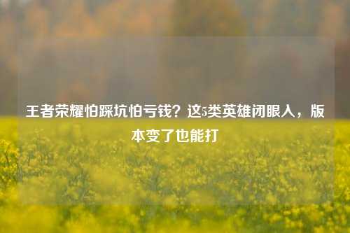 王者荣耀怕踩坑怕亏钱？这5类英雄闭眼入，版本变了也能打