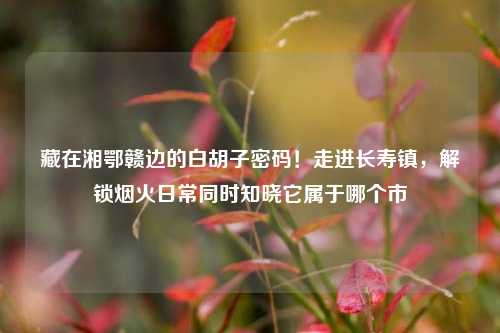 藏在湘鄂赣边的白胡子密码！走进长寿镇，解锁烟火日常同时知晓它属于哪个市