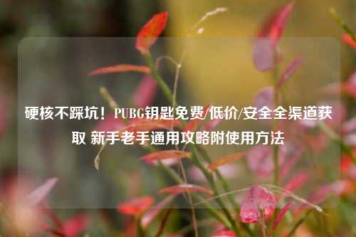 硬核不踩坑！PUBG钥匙免费/低价/安全全渠道获取 新手老手通用攻略附使用方法