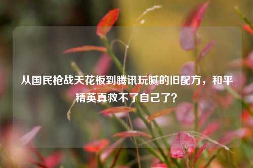 从国民枪战天花板到腾讯玩腻的旧配方，和平精英真救不了自己了？