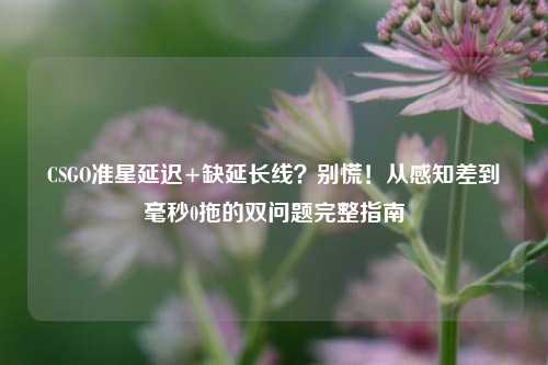 CSGO准星延迟+缺延长线？别慌！从感知差到毫秒0拖的双问题完整指南