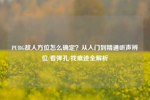 PUBG敌人方位怎么确定？从入门到精通听声辨位/看弹孔/找痕迹全解析