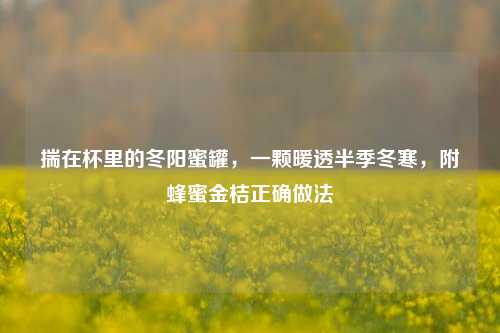 揣在杯里的冬阳蜜罐，一颗暖透半季冬寒，附蜂蜜金桔正确做法