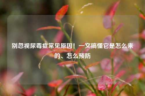 别忽视尿毒症常见原因！一文搞懂它是怎么来的、怎么预防
