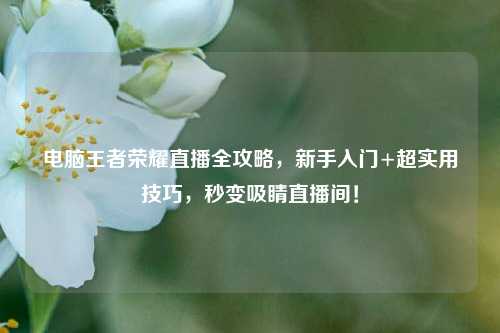 电脑王者荣耀直播全攻略，新手入门+超实用技巧，秒变吸睛直播间！