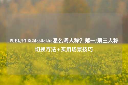 PUBG/PUBGMobileLite怎么调人称？第一/第三人称切换方法+实用场景技巧