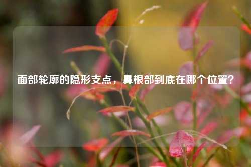 面部轮廓的隐形支点，鼻根部到底在哪个位置？