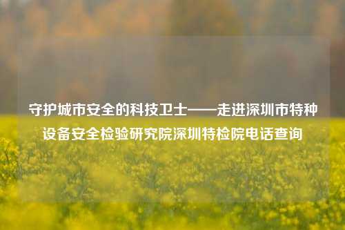 守护城市安全的科技卫士——走进深圳市特种设备安全检验研究院深圳特检院电话查询