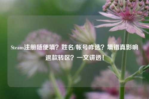 Steam注册随便填？姓名/帐号咋选？填错真影响退款转区？一文讲透！