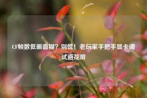 CF帧数低画面糊？别慌！老玩家手把手显卡调试避花屏