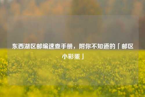 东西湖区邮编速查手册，附你不知道的「邮区小彩蛋」
