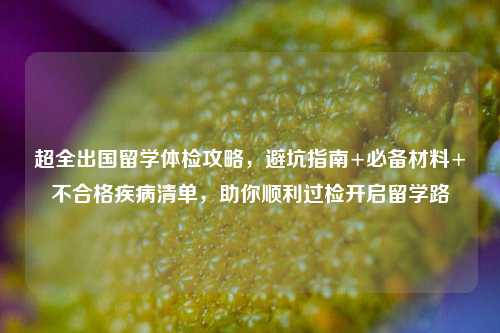 超全出国留学体检攻略，避坑指南+必备材料+不合格疾病清单，助你顺利过检开启留学路
